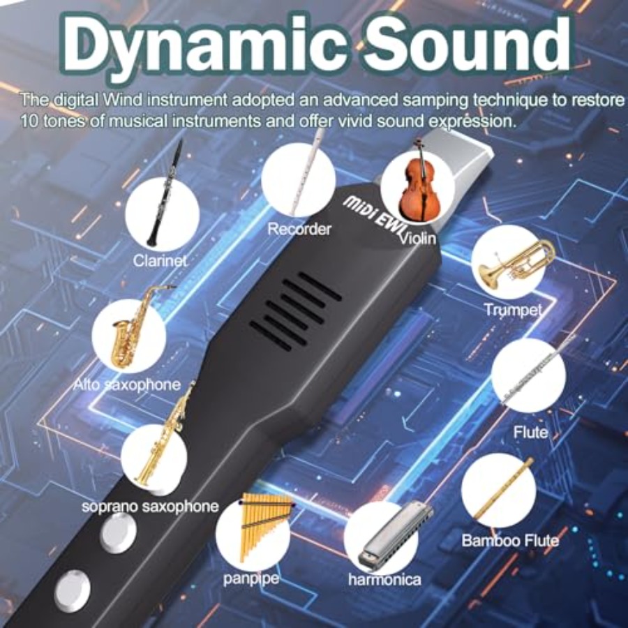 Electric Saxophone Digital Win - огляд і ціна Musical Instrument With A