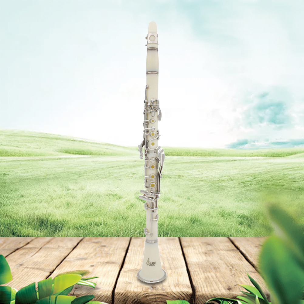Bb Clarinet 17 Keys with Case  - огляд і ціна Musical Instrument In Orchestra