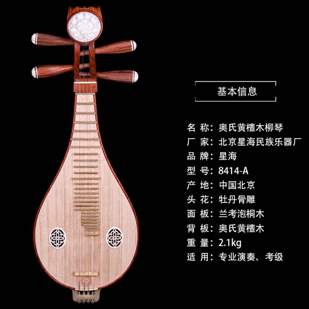 Beijing Xinghai 8414-A Rosewoo - огляд і ціна Musical Instrument With A