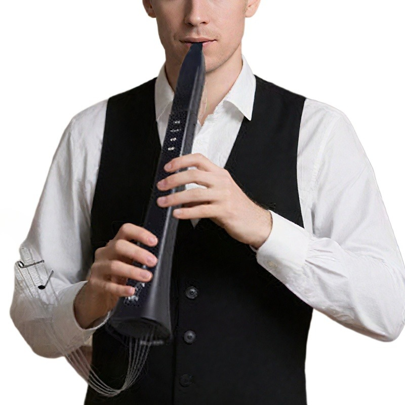 Portable Electronic Wind Instr - огляд і ціна Musical Instrument With A
