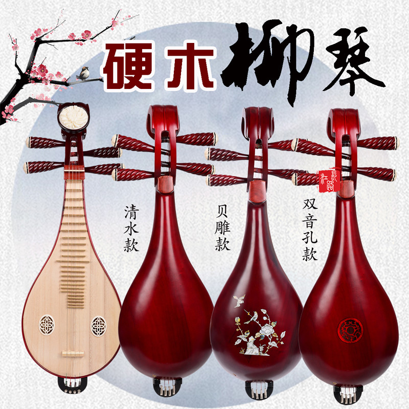 Professional Performance & Gra - огляд і ціна Musical Instrument With A