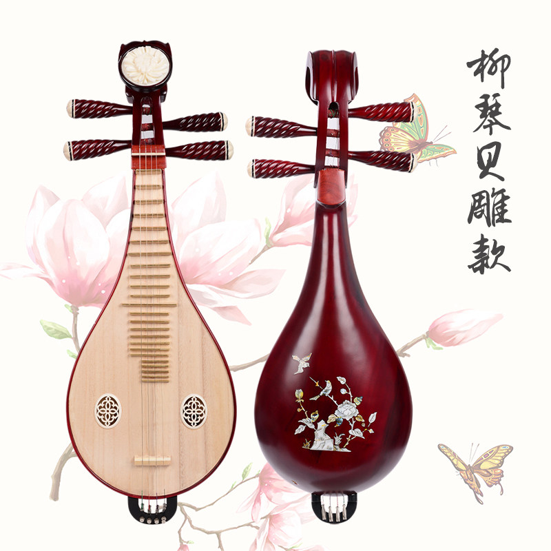 Professional Performance & Gra - огляд і ціна Musical Instrument With A