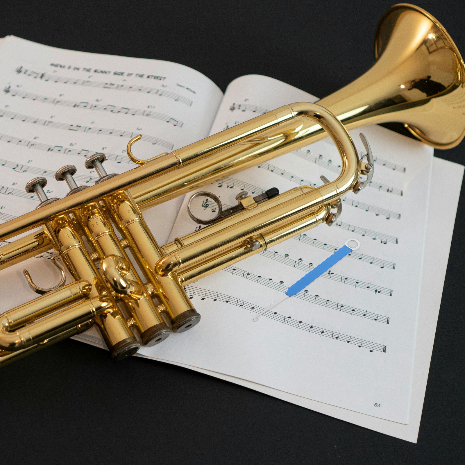 Woodwind Instrument Spring Hoo - огляд і ціна Musical Instrument Repairs